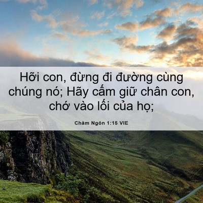 Picture 06 - Châm Ngôn 1:15 VIE - Hỡi con, đừng đi đường cùng chúng - Bible Verse Picture