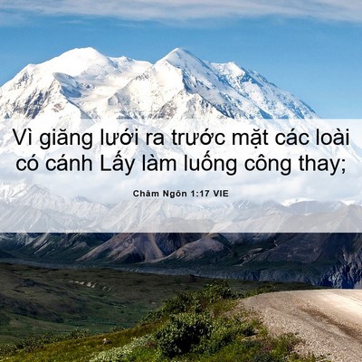 Picture 06 - Châm Ngôn 1:17 VIE - Vì giăng lưới ra trước mặt các loài - Bible Verse Picture