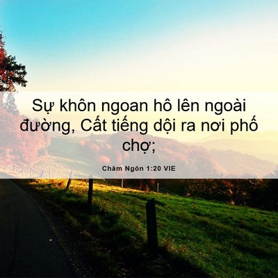 Picture 06 - Châm Ngôn 1:20 VIE - Sự khôn ngoan hô lên ngoài đường, Cất - Bible Verse Picture