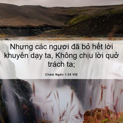 Picture 06 - Châm Ngôn 1:25 VIE - Nhưng các ngươi đã bỏ hết lời khuyên - Bible Verse Picture