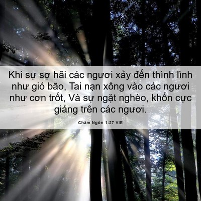 Picture 06 - Châm Ngôn 1:27 VIE - Khi sự sợ hãi các ngươi xảy đến - Bible Verse Picture