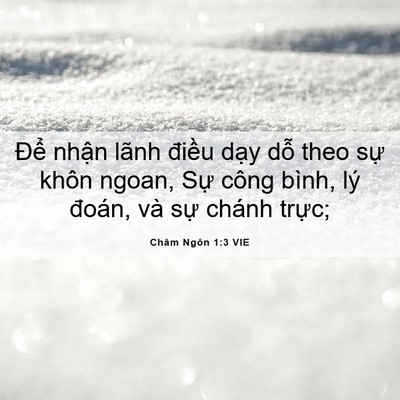 Picture 06 - Châm Ngôn 1:3 VIE - Để nhận lãnh điều dạy dỗ theo sự - Bible Verse Picture