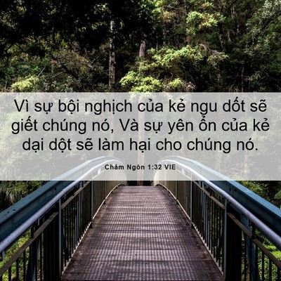 Picture 06 - Châm Ngôn 1:32 VIE - Vì sự bội nghịch của kẻ ngu dốt sẽ - Bible Verse Picture