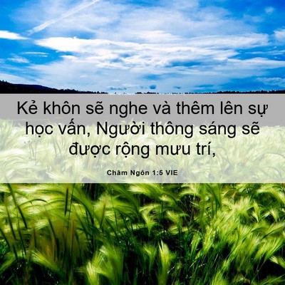 Picture 06 - Châm Ngôn 1:5 VIE - Kẻ khôn sẽ nghe và thêm lên sự học - Bible Verse Picture