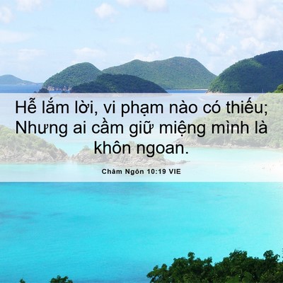 Picture 06 - Châm Ngôn 10:19 VIE - Hễ lắm lời, vi phạm nào có thiếu; - Bible Verse Picture