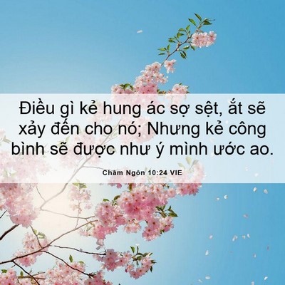 Picture 06 - Châm Ngôn 10:24 VIE - Điều gì kẻ hung ác sợ sệt, ắt sẽ - Bible Verse Picture