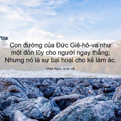 Picture 06 - Châm Ngôn 10:29 VIE - Con đường của Đức Giê-hô-va như một - Bible Verse Picture