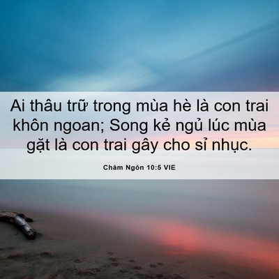 Picture 06 - Châm Ngôn 10:5 VIE - Ai thâu trữ trong mùa hè là con trai khôn - Bible Verse Picture