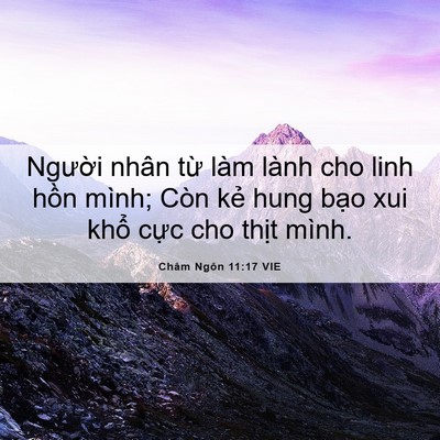 Picture 06 - Châm Ngôn 11:17 VIE - Người nhân từ làm lành cho linh hồn - Bible Verse Picture