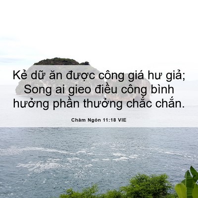 Picture 06 - Châm Ngôn 11:18 VIE - Kẻ dữ ăn được công giá hư giả; Song - Bible Verse Picture