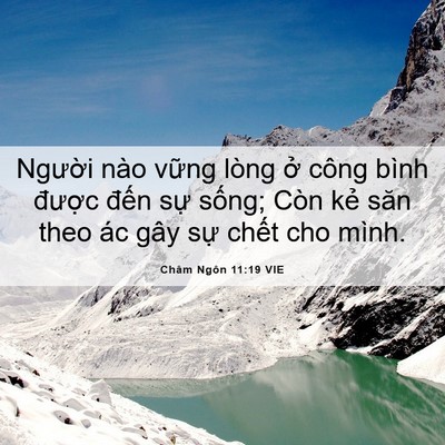 Picture 06 - Châm Ngôn 11:19 VIE - Người nào vững lòng ở công bình - Bible Verse Picture
