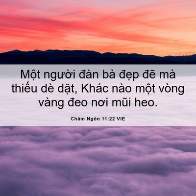 Picture 06 - Châm Ngôn 11:22 VIE - Một người đàn bà đẹp đẽ mà thiếu - Bible Verse Picture