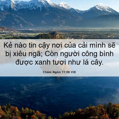 Picture 06 - Châm Ngôn 11:28 VIE - Kẻ nào tin cậy nơi của cải mình sẽ - Bible Verse Picture
