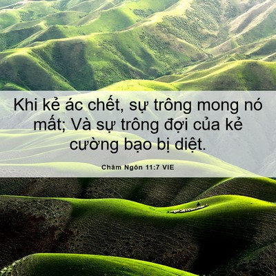 Picture 06 - Châm Ngôn 11:7 VIE - Khi kẻ ác chết, sự trông mong nó mất; - Bible Verse Picture