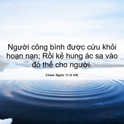 Picture 06 - Châm Ngôn 11:8 VIE - Người công bình được cứu khỏi hoạn - Bible Verse Picture