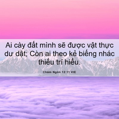 Picture 06 - Châm Ngôn 12:11 VIE - Ai cày đất mình sẽ được vật thực - Bible Verse Picture