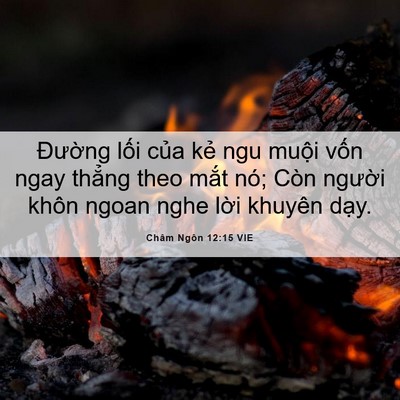 Picture 06 - Châm Ngôn 12:15 VIE - Đường lối của kẻ ngu muội vốn ngay - Bible Verse Picture