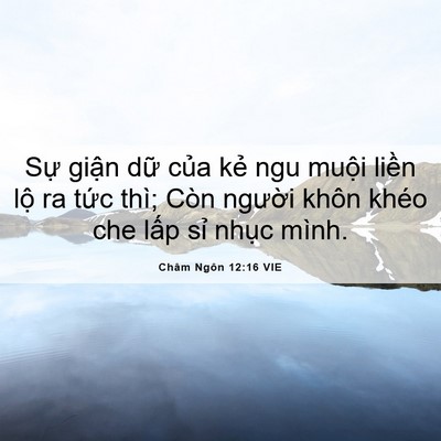 Picture 06 - Châm Ngôn 12:16 VIE - Sự giận dữ của kẻ ngu muội liền - Bible Verse Picture