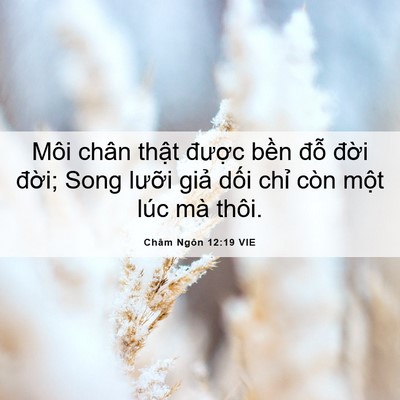 Picture 06 - Châm Ngôn 12:19 VIE - Môi chân thật được bền đỗ đời - Bible Verse Picture