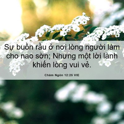 Picture 06 - Châm Ngôn 12:25 VIE - Sự buồn rầu ở nơi lòng người làm - Bible Verse Picture
