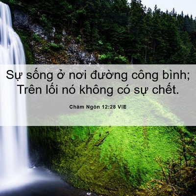 Picture 06 - Châm Ngôn 12:28 VIE - Sự sống ở nơi đường công bình; Trên - Bible Verse Picture