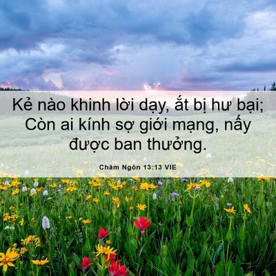 Picture 06 - Châm Ngôn 13:13 VIE - Kẻ nào khinh lời dạy, ắt bị hư bại; - Bible Verse Picture