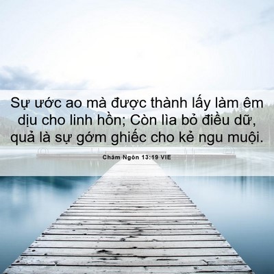 Picture 06 - Châm Ngôn 13:19 VIE - Sự ước ao mà được thành lấy làm êm - Bible Verse Picture