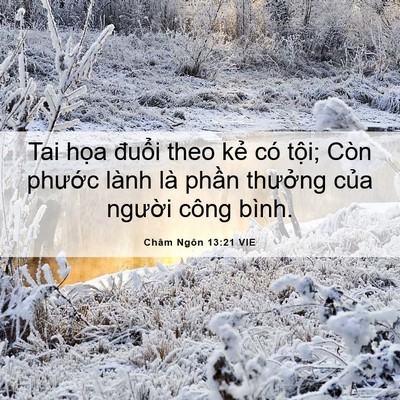 Picture 06 - Châm Ngôn 13:21 VIE - Tai họa đuổi theo kẻ có tội; Còn - Bible Verse Picture