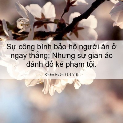 Picture 06 - Châm Ngôn 13:6 VIE - Sự công bình bảo hộ người ăn ở ngay - Bible Verse Picture