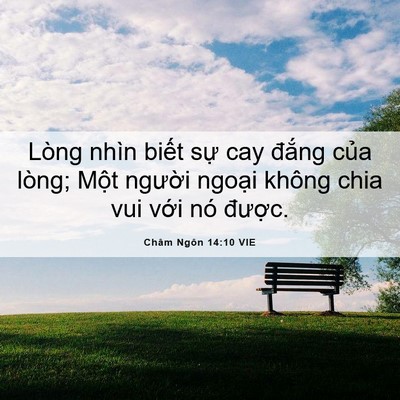 Picture 06 - Châm Ngôn 14:10 VIE - Lòng nhìn biết sự cay đắng của lòng; - Bible Verse Picture