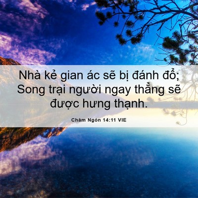 Picture 06 - Châm Ngôn 14:11 VIE - Nhà kẻ gian ác sẽ bị đánh đổ; Song - Bible Verse Picture
