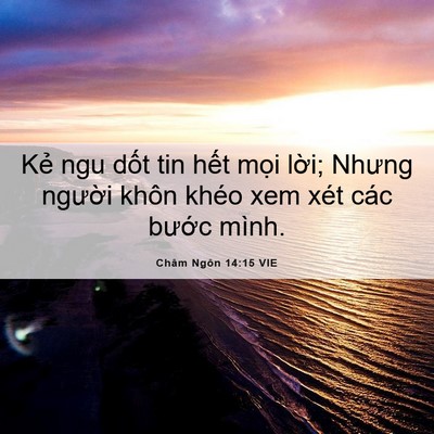 Picture 06 - Châm Ngôn 14:15 VIE - Kẻ ngu dốt tin hết mọi lời; Nhưng - Bible Verse Picture