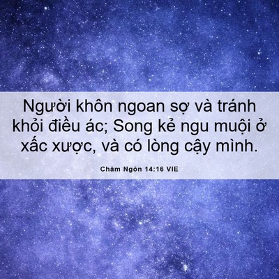 Picture 06 - Châm Ngôn 14:16 VIE - Người khôn ngoan sợ và tránh khỏi - Bible Verse Picture