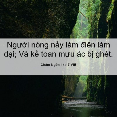 Picture 06 - Châm Ngôn 14:17 VIE - Người nóng nảy làm điên làm dại; Và - Bible Verse Picture