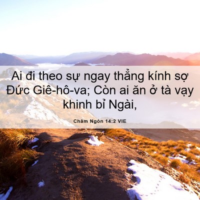 Picture 06 - Châm Ngôn 14:2 VIE - Ai đi theo sự ngay thẳng kính sợ Đức - Bible Verse Picture