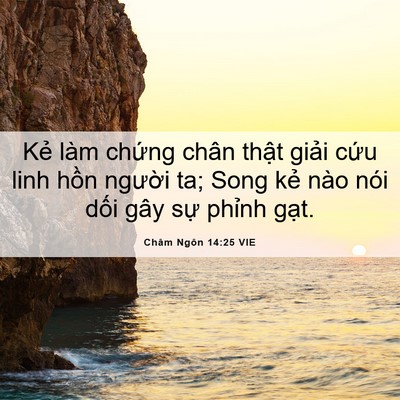 Picture 06 - Châm Ngôn 14:25 VIE - Kẻ làm chứng chân thật giải cứu linh - Bible Verse Picture