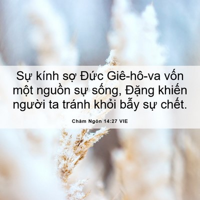Picture 06 - Châm Ngôn 14:27 VIE - Sự kính sợ Đức Giê-hô-va vốn một - Bible Verse Picture