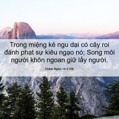 Picture 06 - Châm Ngôn 14:3 VIE - Trong miệng kẻ ngu dại có cây roi đánh - Bible Verse Picture