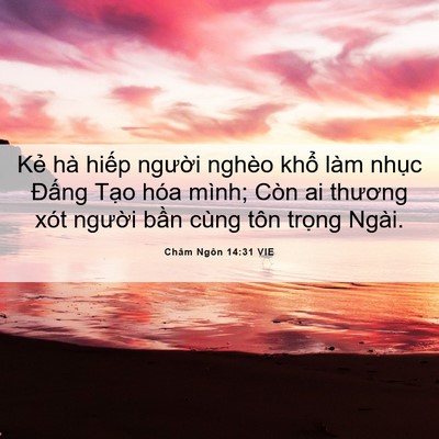 Picture 06 - Châm Ngôn 14:31 VIE - Kẻ hà hiếp người nghèo khổ làm nhục - Bible Verse Picture