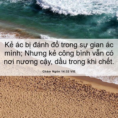 Picture 06 - Châm Ngôn 14:32 VIE - Kẻ ác bị đánh đổ trong sự gian ác - Bible Verse Picture