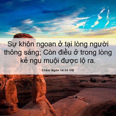 Picture 06 - Châm Ngôn 14:33 VIE - Sự khôn ngoan ở tại lòng người thông - Bible Verse Picture