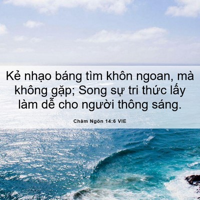 Picture 06 - Châm Ngôn 14:6 VIE - Kẻ nhạo báng tìm khôn ngoan, mà không - Bible Verse Picture