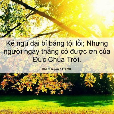 Picture 06 - Châm Ngôn 14:9 VIE - Kẻ ngu dại bỉ báng tội lỗi; Nhưng - Bible Verse Picture