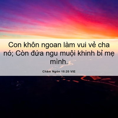Picture 06 - Châm Ngôn 15:20 VIE - Con khôn ngoan làm vui vẻ cha nó; Còn - Bible Verse Picture