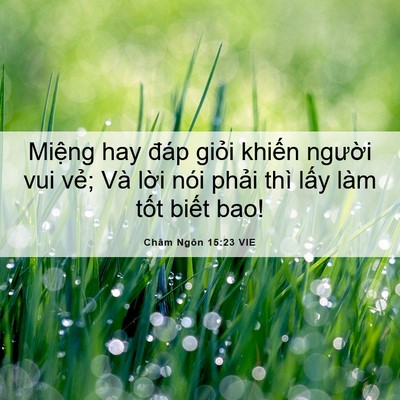 Picture 06 - Châm Ngôn 15:23 VIE - Miệng hay đáp giỏi khiến người vui - Bible Verse Picture