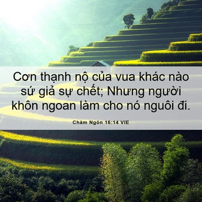 Picture 06 - Châm Ngôn 16:14 VIE - Cơn thạnh nộ của vua khác nào sứ giả - Bible Verse Picture