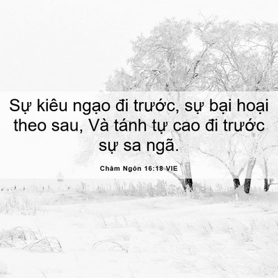 Picture 06 - Châm Ngôn 16:18 VIE - Sự kiêu ngạo đi trước, sự bại hoại - Bible Verse Picture