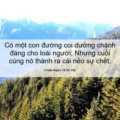 Picture 06 - Châm Ngôn 16:25 VIE - Có một con đường coi dường chánh - Bible Verse Picture