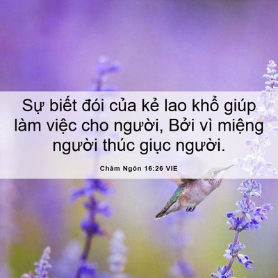Picture 06 - Châm Ngôn 16:26 VIE - Sự biết đói của kẻ lao khổ giúp làm - Bible Verse Picture