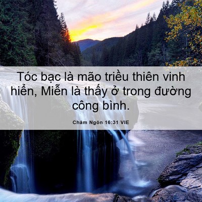 Picture 06 - Châm Ngôn 16:31 VIE - Tóc bạc là mão triều thiên vinh hiển, - Bible Verse Picture